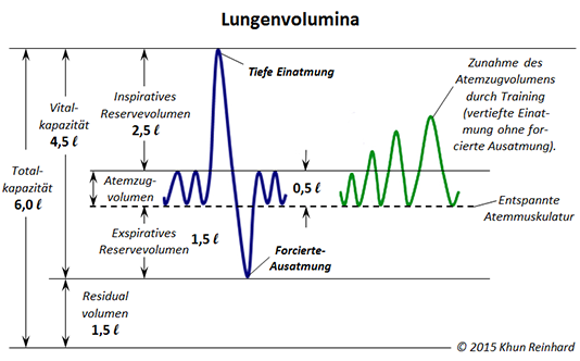 Lungenvolumina